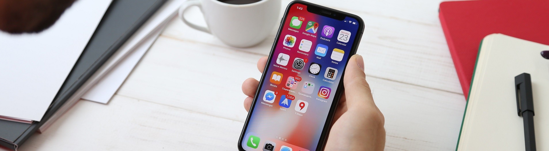 trường hợp công ty mới nhất về Chó trưởng thành về mặt tình dục sẽ động dục hai lần một năm. Mùa xuân là từ tháng ba đến tháng năm, và mùa thu là từ tháng chín đến tháng mười một.